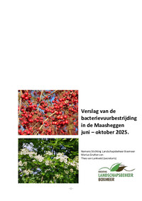 Verslag Bacterievuur 2025